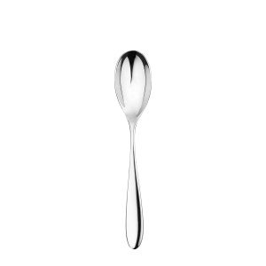 Santol Mirror Soup Spoon
